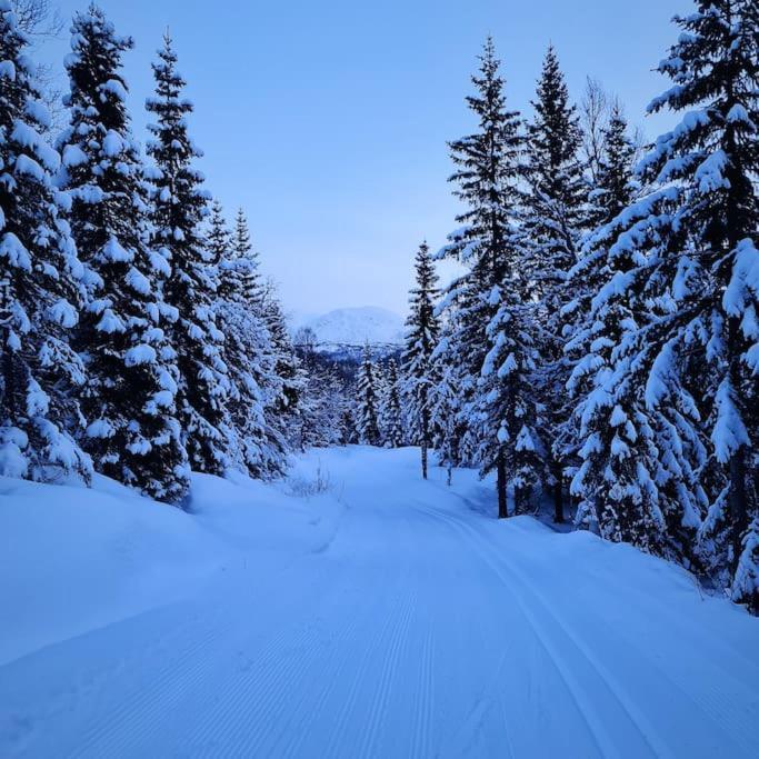 Koselig Og Moderne Leilighet, Meget Sentralt I Narvik Med Gratis Parkering! Exterior foto